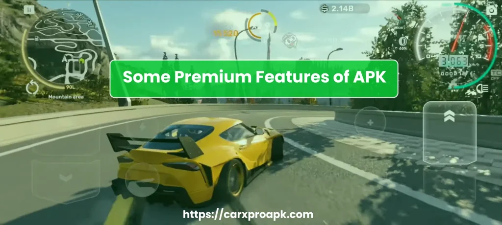 Premium Features of CarX Street mod apk
